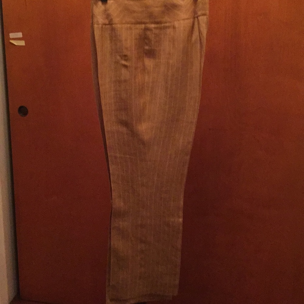 Ladies pant